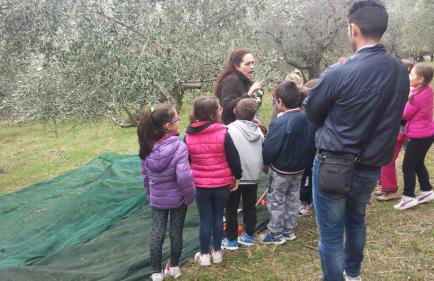 Società Agricola F.lli Angelucci - Foto 11