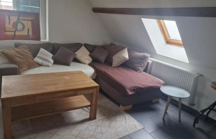 Gîte les Dahlias - Photo 14