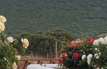 Finca La Rinconada - Foto 1