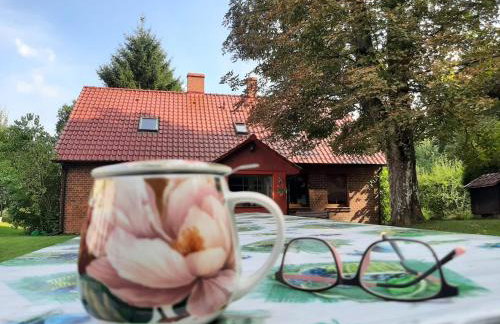 Łabądkowo - Foto 56