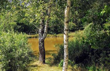 Brzozowa Polana - Foto 59