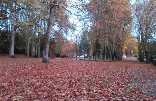 Les Buissonnets - Foto 16