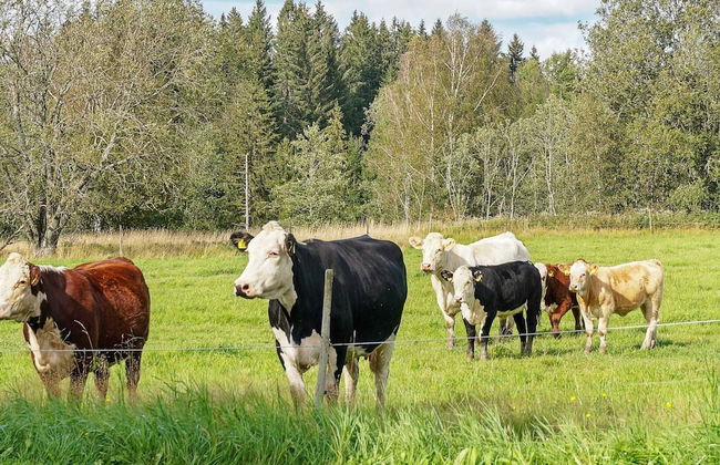 6 Person Holiday Home in ED - Foto 8