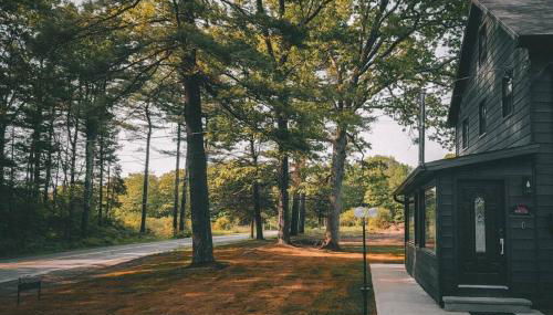 Pinewood Lodge - Catskills, Windham Mountain, Hunter Mountain - Foto 1