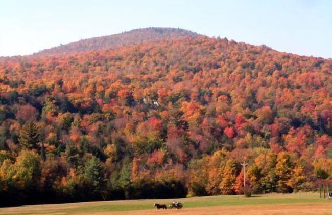 Lodge Condo 24 - Photo 19