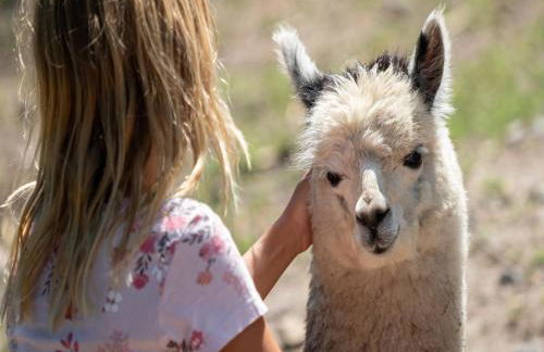 Luxuszelt im Serengeti Park - Photo 25