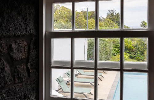 Bioma Adega - Escala Gourmet - Photo 11