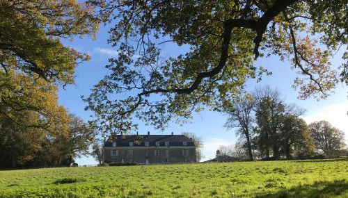 Chateau De Piedouault - Photo 4