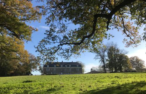 Chateau De Piedouault - Photo 4