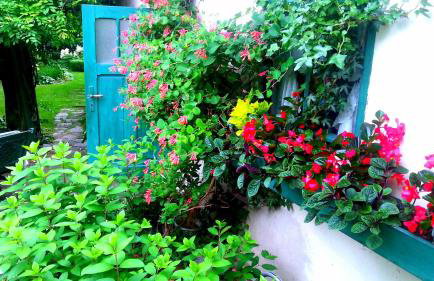 Słoneczne apartamenty - Photo 46