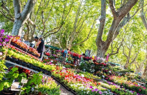 Casbah14 Uzès - Foto 22