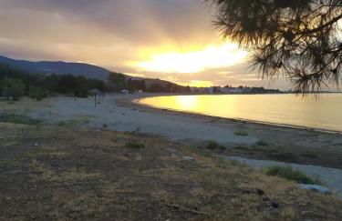 Aegean View Seaside Apartment - Photo 14