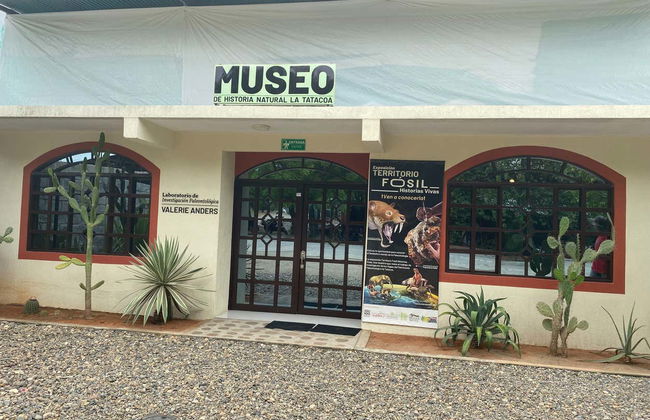 Tour por el Museo de Historia Natural de la Tatacoa + Taller de fósiles - Foto 4