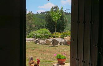 Masia Pou de la Vinya - Photo 51