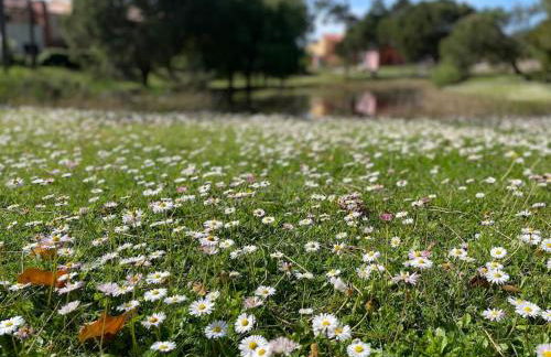 À Beira Lago - Casa de férias - Foto 17