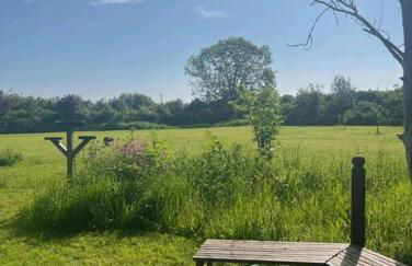 Wooden tiny house Glamping cabin with hot tub 1 - Photo 18