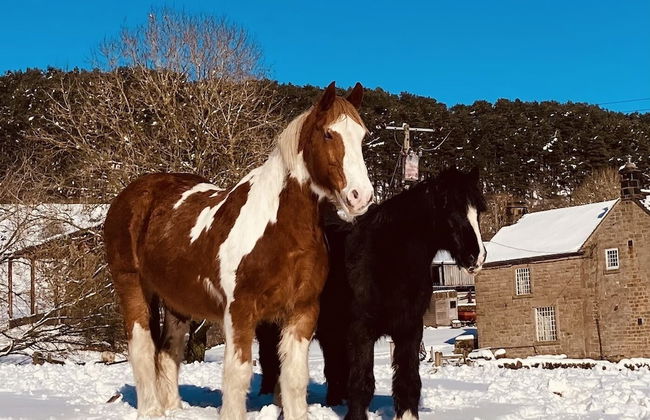 Gratton Grange Farm Holiday Cottage - Foto 31