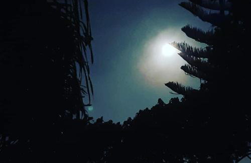 Chalé Pakere Bellavista - visão magnífica do vale e montanhas a mais de mil metros de altitude, wi-fi, sauna, piscina e água de nascente - locação do chalé sem prestação de serviços - Foto 52