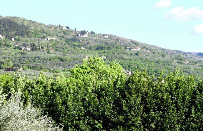 Pleasant Holiday Home in Reggello With Pool - Foto 57