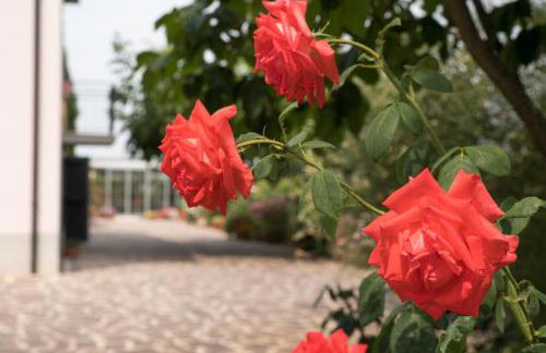 Dolce Casetta - Foto 21