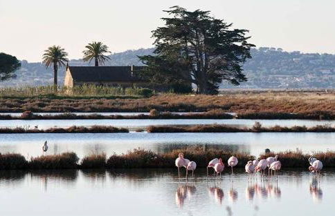 Le Moorea - Apartment for 4 people - Foto 7