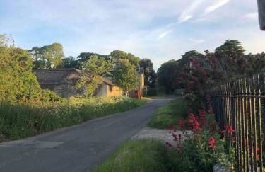 Caretakers Hideaway - Photo 24