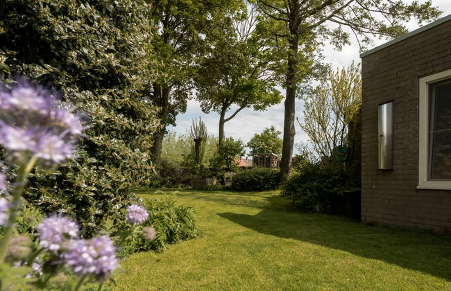 3 bedroom House in Ostend with garden and terrace - Photo 41