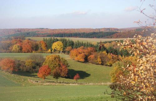 Haus Resi in Kleinich - Foto 27