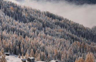 Apartment Ciasa Laoi - Foto 10