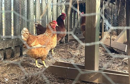 Luxurious Lower Level - Foto 46