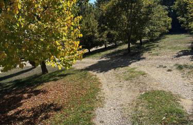 Pigeonnier des Banons - Foto 78