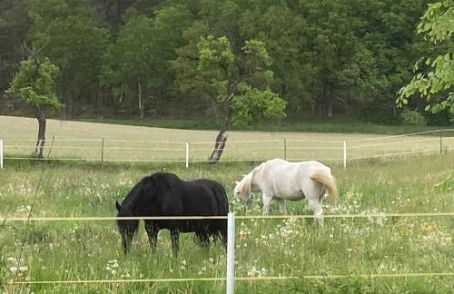 Ferienwohnung mit Sauna und Meditationsangebot - Foto 15