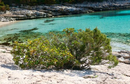 MT Seafront Residence - Foto 37