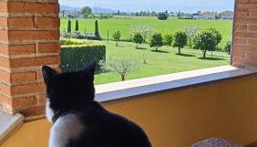 il Chiassetto Agriturismo No Kids - Foto 2, Garden, Garden view