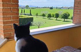 il Chiassetto Agriturismo No Kids - Foto 2