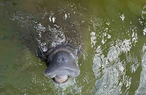 Lavender Life - Foto 25