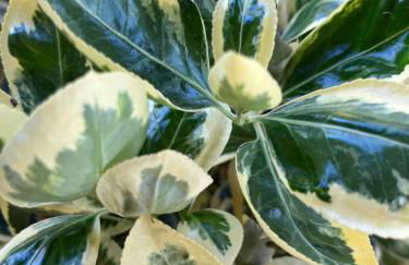 Agriturismo Valdo - Foto 13