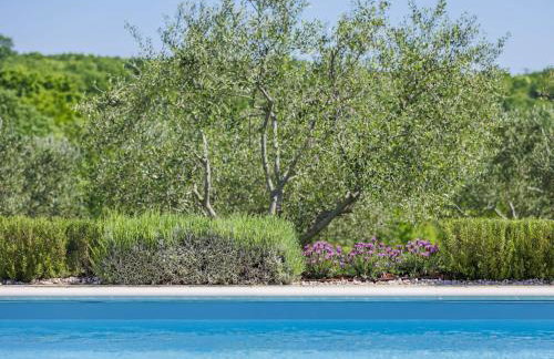 Holiday Home Claudia by Interhome - Foto 9