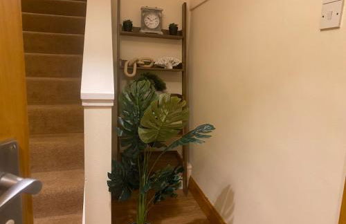 Esviken 2 in heart of Kirkwall - Foto 27