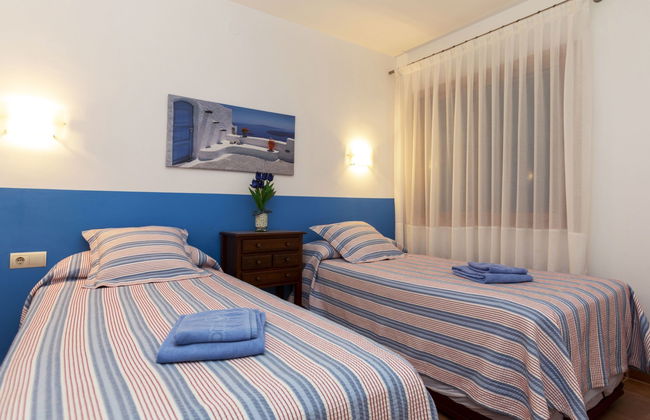 Cavall Bernat - Foto 10