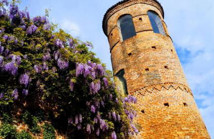 Altes Backhaus in Maranzana - Photo 23