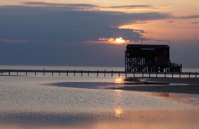 House by the Paddock - Foto 15