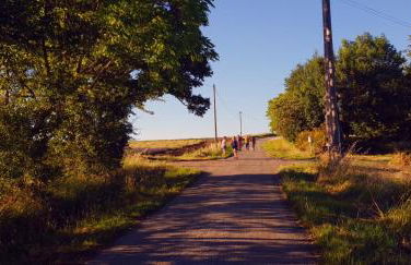 Manoir Le Bourg, Touffailles - Foto 27