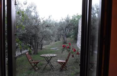 Agriturismo Il Casalino - Photo 80