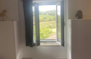 Villa das Vinhas - Photo 18