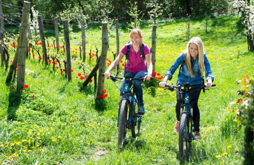 Versigglhof - Foto 28