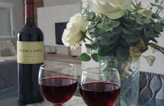 Porto Alegre, apto espaçoso 4 Distrito - Aeroporto, Arena, Trem - Foto 28