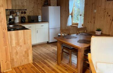 Domek całoroczny HAWAJE nad jeziorem Kazub - Foto 9