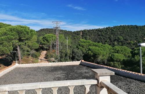 Exclusive Virginia Lloret - Foto 9