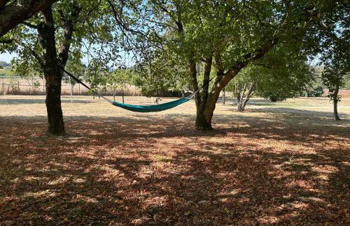 Les Carassonnes - Foto 17